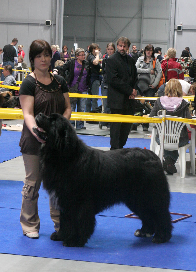 Edmon z Kazničovské hůrky, Res. CACIB